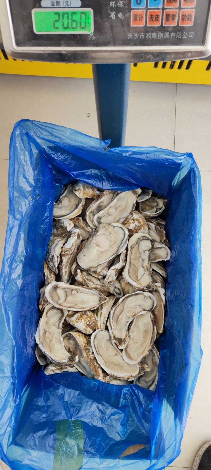满肉乳山原浆生蚝96片72片无泡水无泡药原汁原味