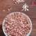 大凉山泸沽湖桃花红米