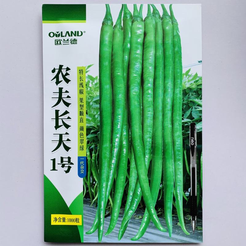 超长线椒种子香辣农夫长天一号超辣辣椒四季播耐热耐湿高产