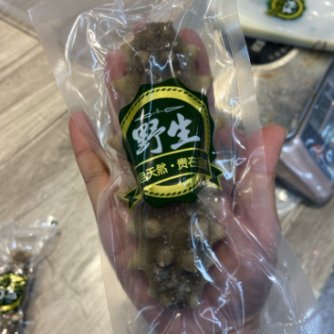 即食海参，口感有劲道，品质如图，n可以炖菜。