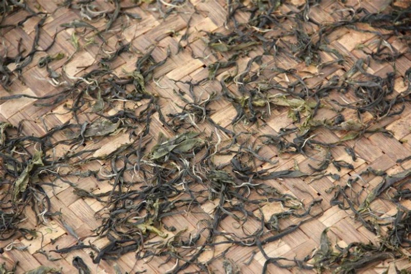 麻黑19号普洱茶生茶200克兴源茶厂