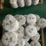 麻黑19号普洱茶生茶200克兴源茶厂