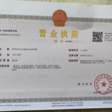 40杆水红袋苗量大欢迎来电订购苗农直销低价批发