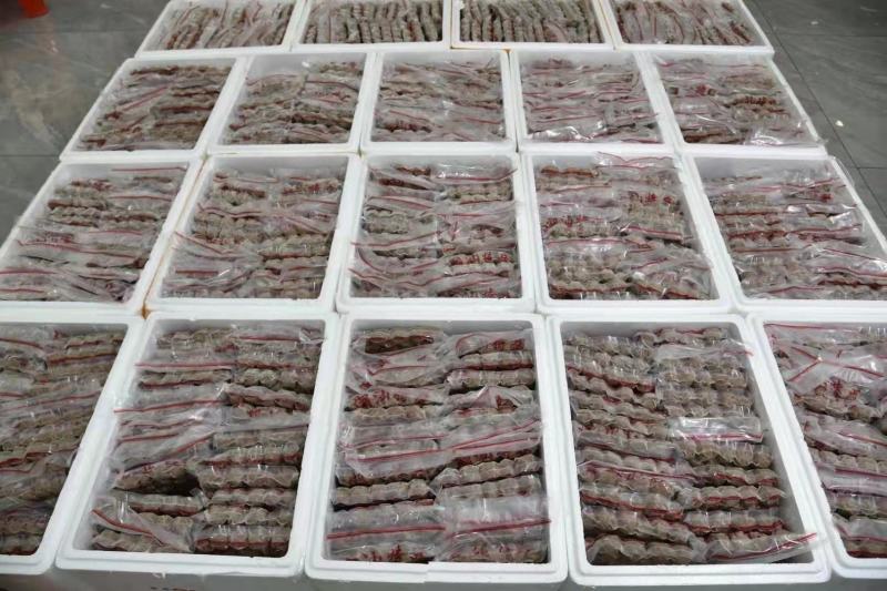 批发【正宗潮汕牛肉丸牛筋丸】AAAAA级脆口酥香整箱批发