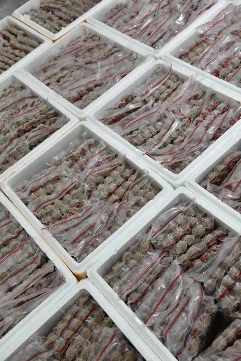 批发【正宗潮汕牛肉丸牛筋丸】AAAAA级脆口酥香整箱批发