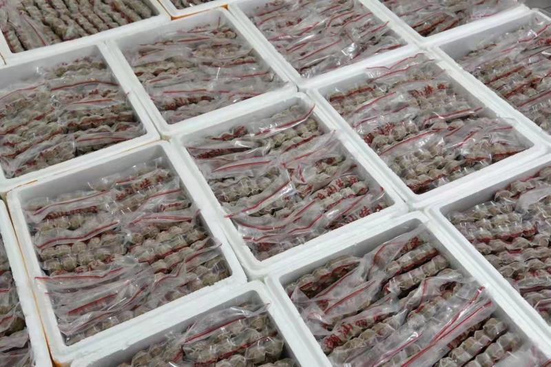 批发【正宗潮汕牛肉丸牛筋丸】AAAAA级脆口酥香整箱批发