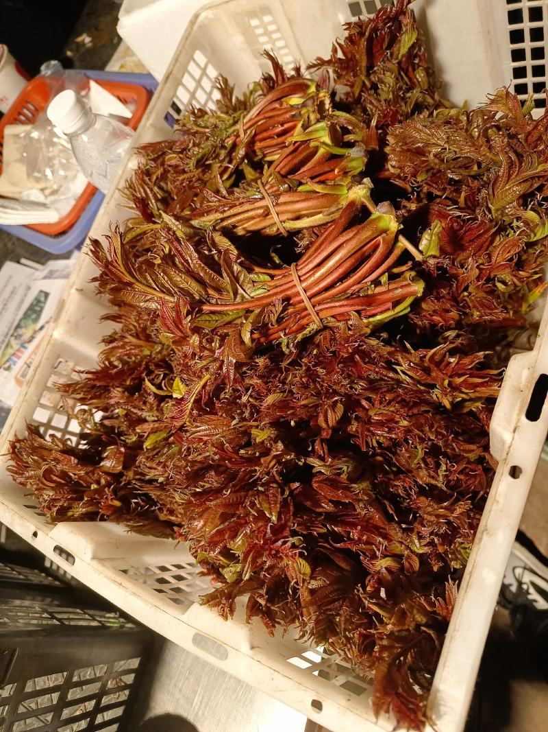 香春少量上市