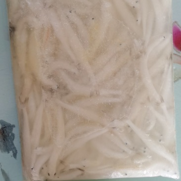 银鱼