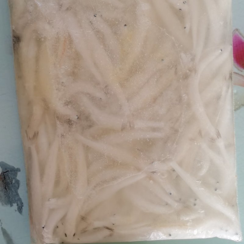 银鱼