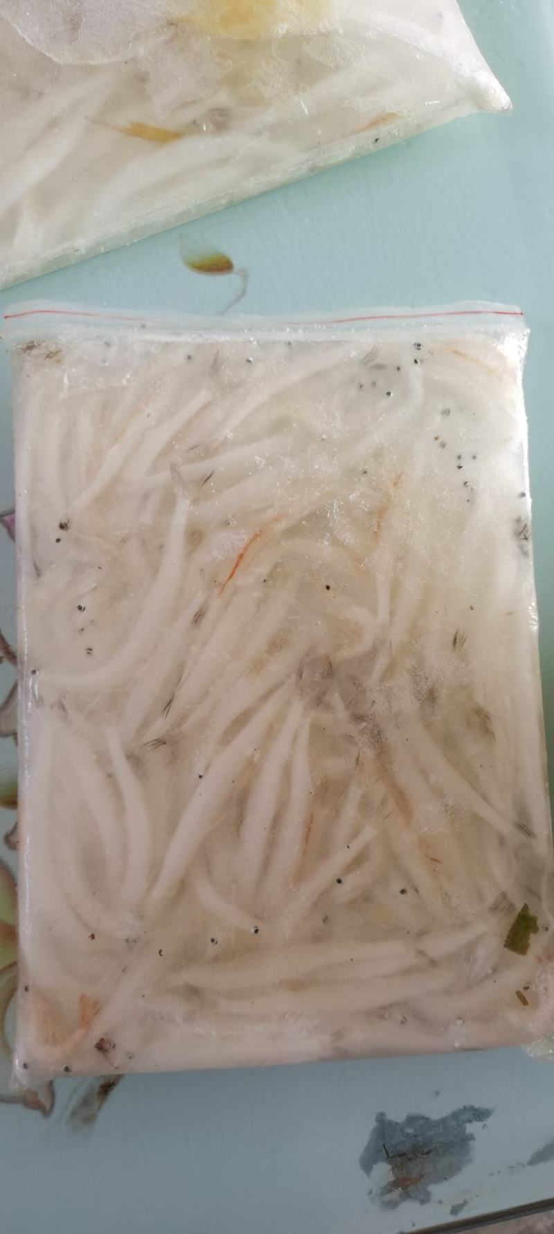 银鱼