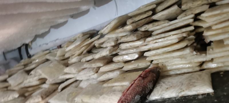 银鱼