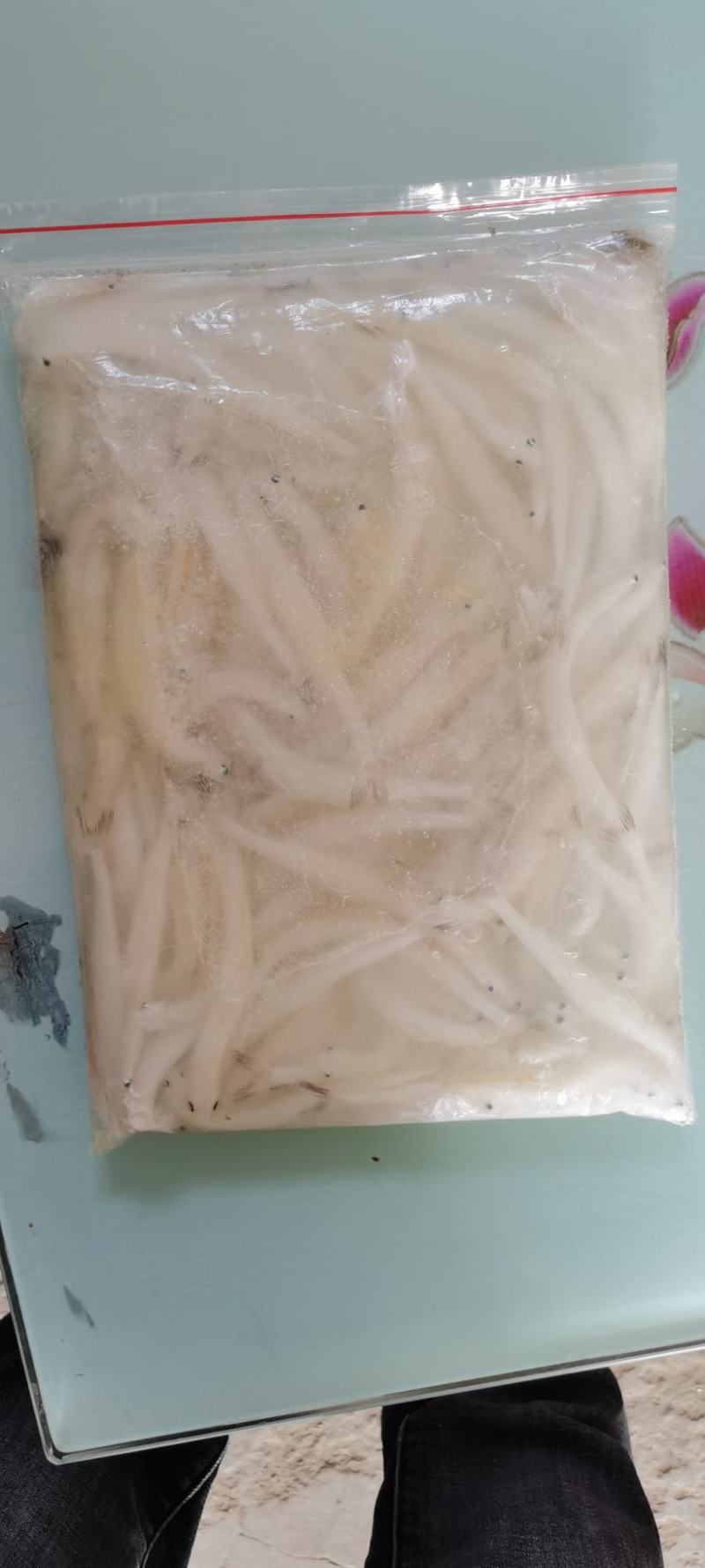 银鱼