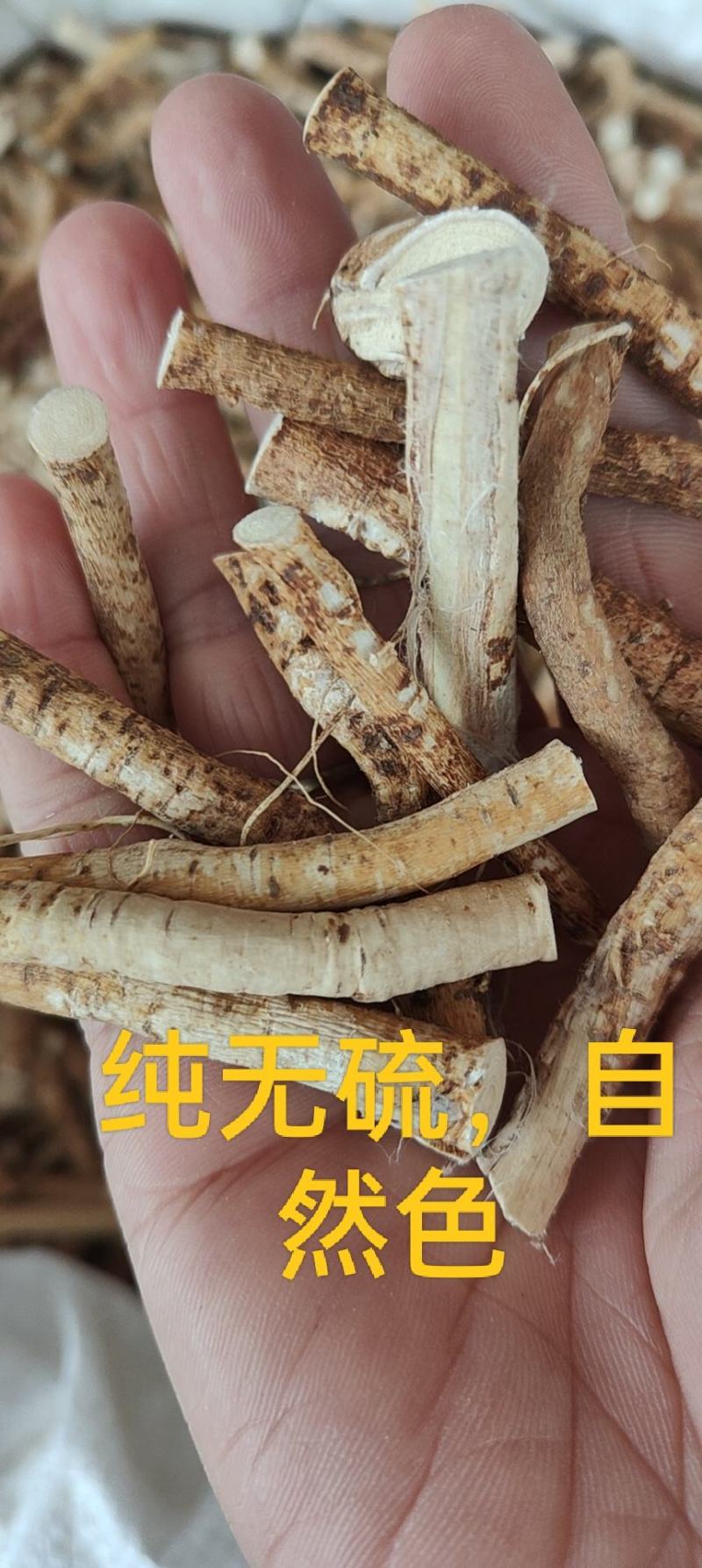 新货五指毛桃节五指牛奶自然颜色，纯无硫香味浓郁