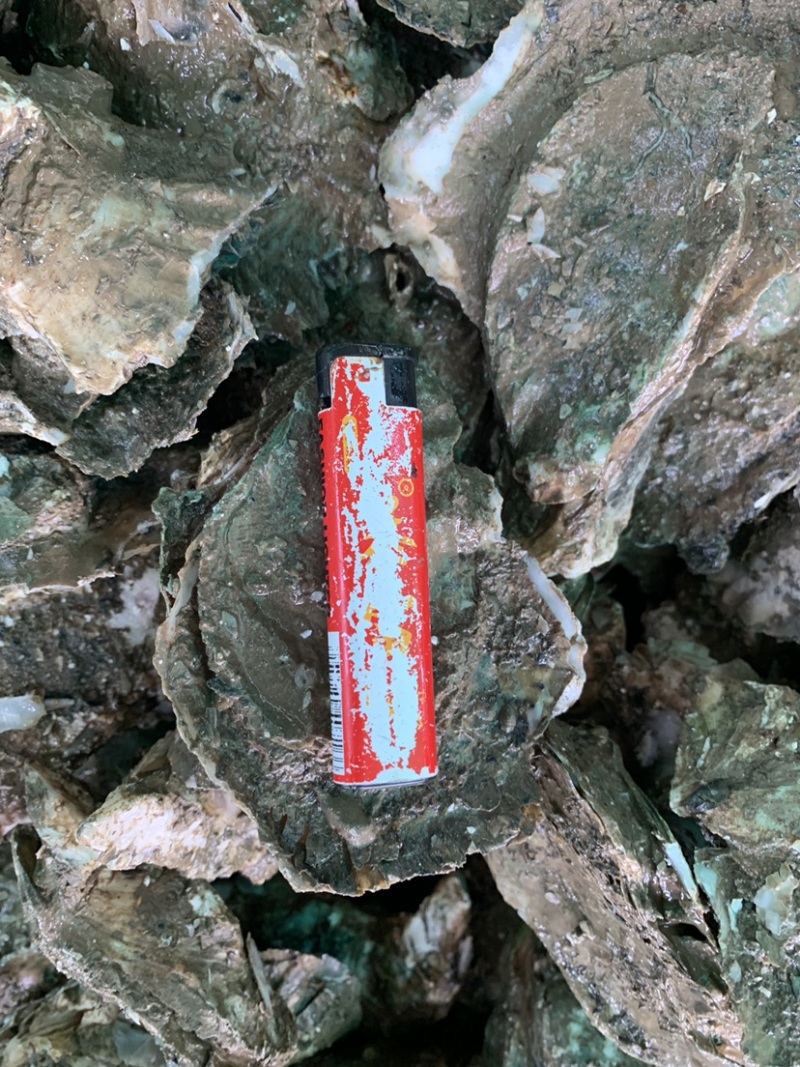 全壳1.5两至6两规格生蚝，薄壳款。肉肥