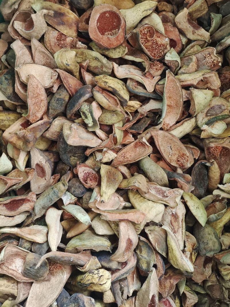 中药材王不留行壳～新货～质量保证～货源充足～