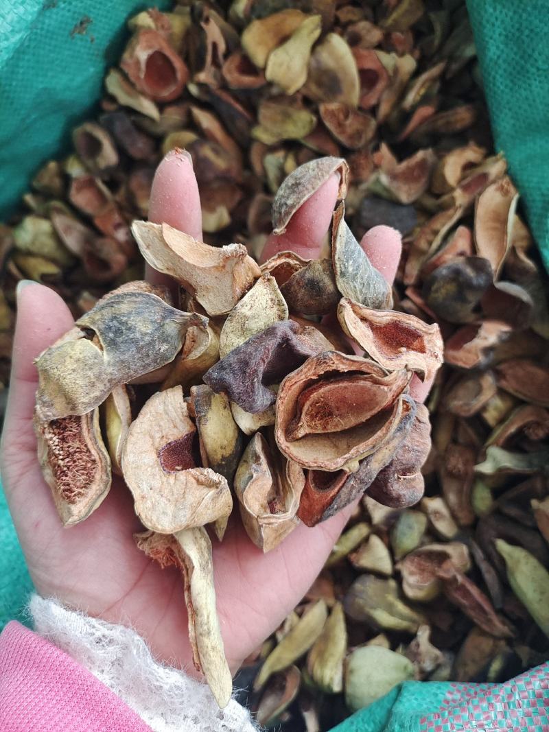 中药材王不留行壳～新货～质量保证～货源充足～