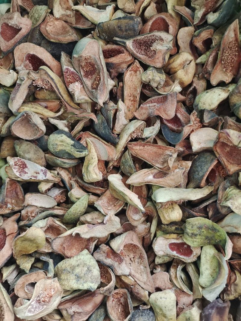 中药材王不留行壳～新货～质量保证～货源充足～