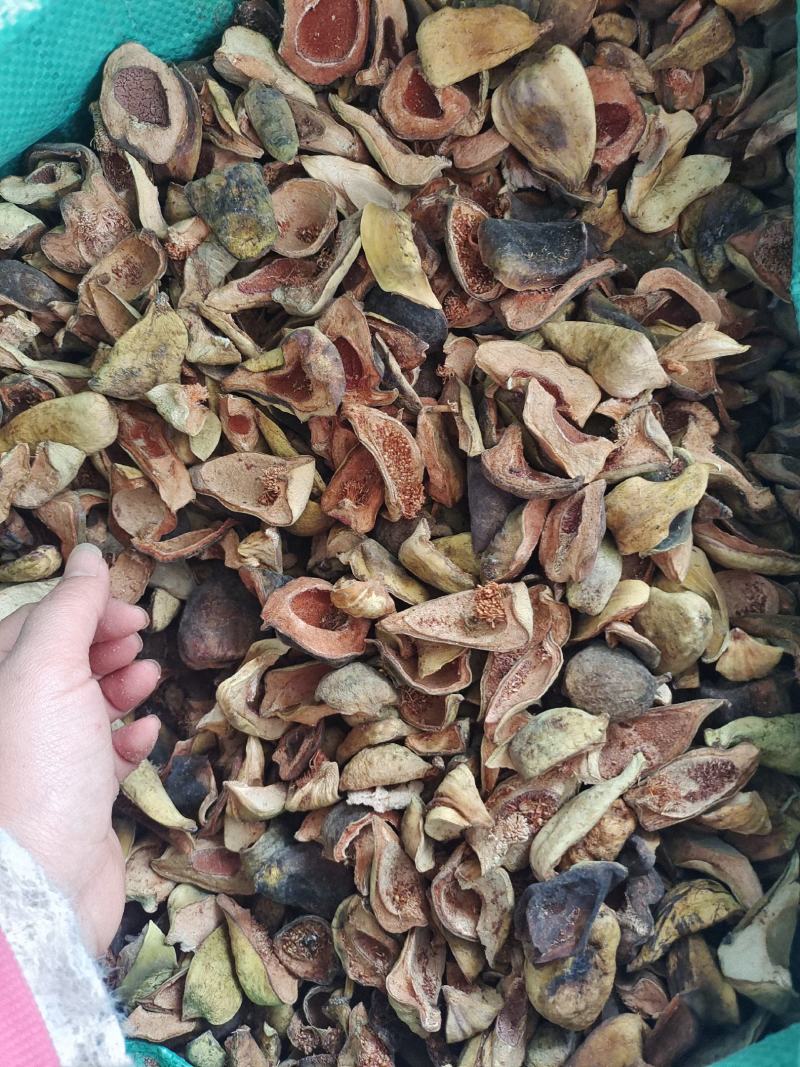 中药材王不留行壳～新货～质量保证～货源充足～