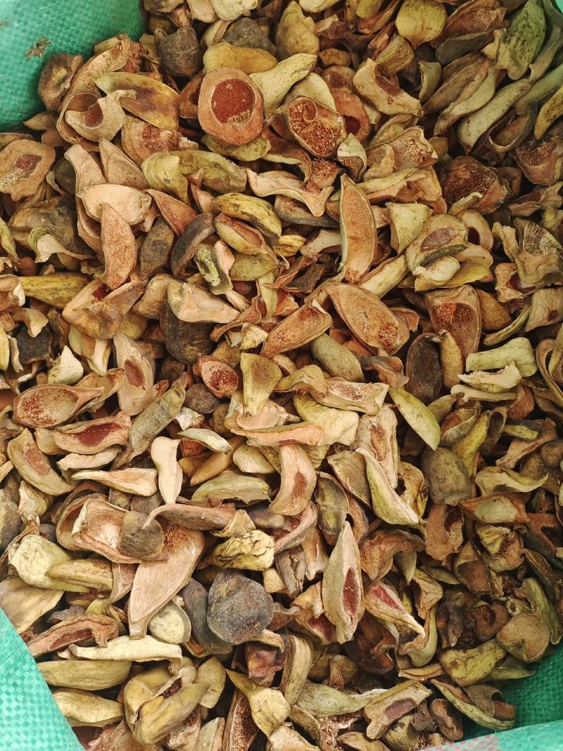 中药材王不留行壳～新货～质量保证～货源充足～