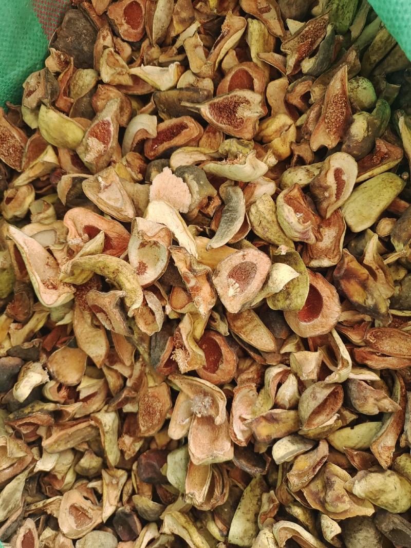 中药材王不留行壳～新货～质量保证～货源充足～