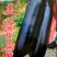 烧烤茄种子茄子种子30公分长粗8公分黑亮型