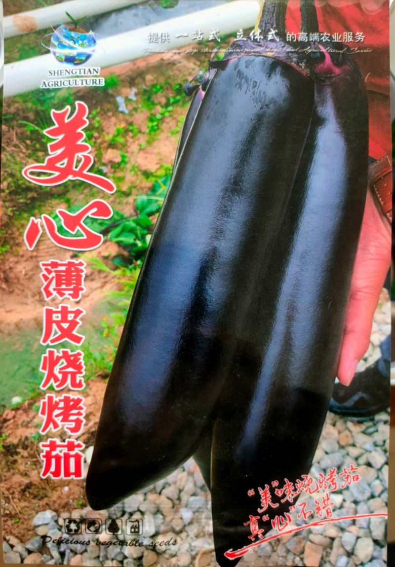 烧烤茄种子茄子种子30公分长粗8公分黑亮型