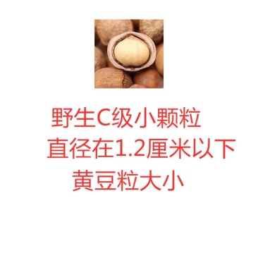 野生山榛子，大中小三个等级都有，皮好果好，生熟都有