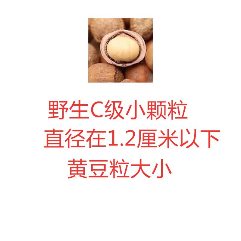 野生山榛子，大中小三个等级都有，皮好果好，生熟都有
