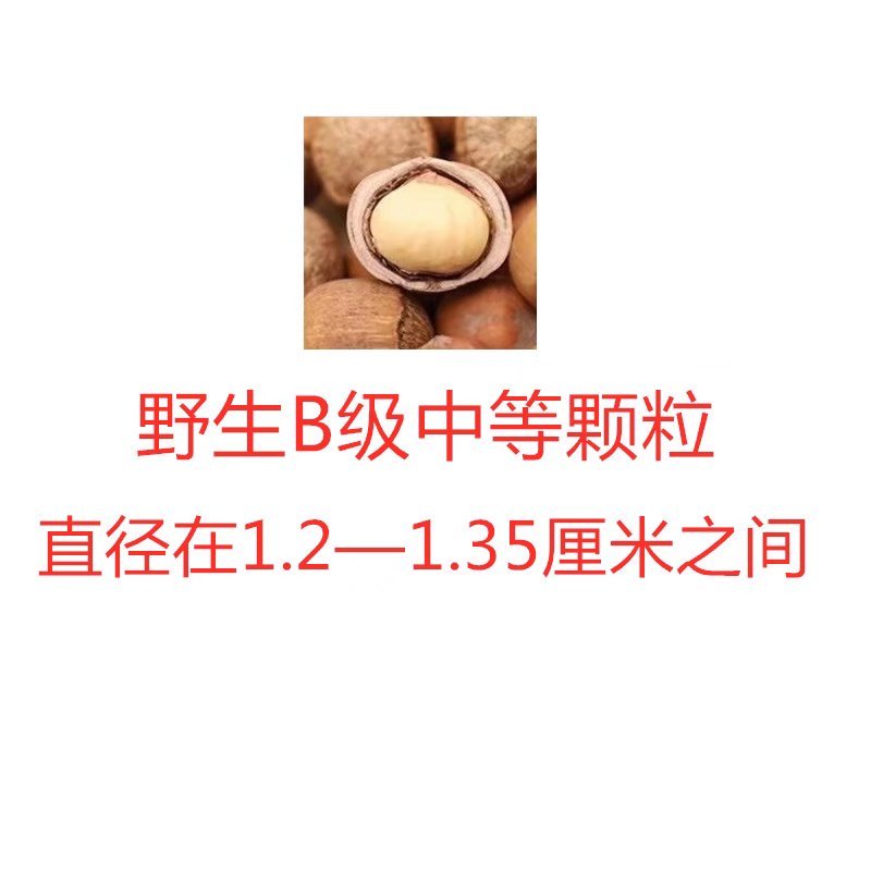 野生山榛子，大中小三个等级都有，皮好果好，生熟都有