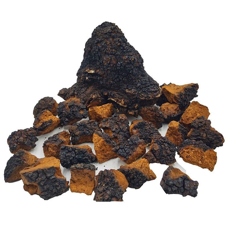 桦树茸俄罗斯进口野生桦树泪整块黑金桦褐孔菌特级