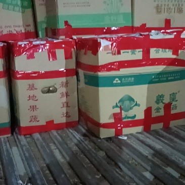 红薯