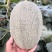 【精品】西州蜜25晓蜜山东产地供应一手货源视频看货