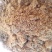生物发酵饲料猪牛羊添加饲料厂家直发质优价廉量大优惠
