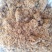 生物发酵饲料猪牛羊添加饲料厂家直发质优价廉量大优惠