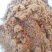 生物发酵饲料猪牛羊添加饲料厂家直发质优价廉量大优惠