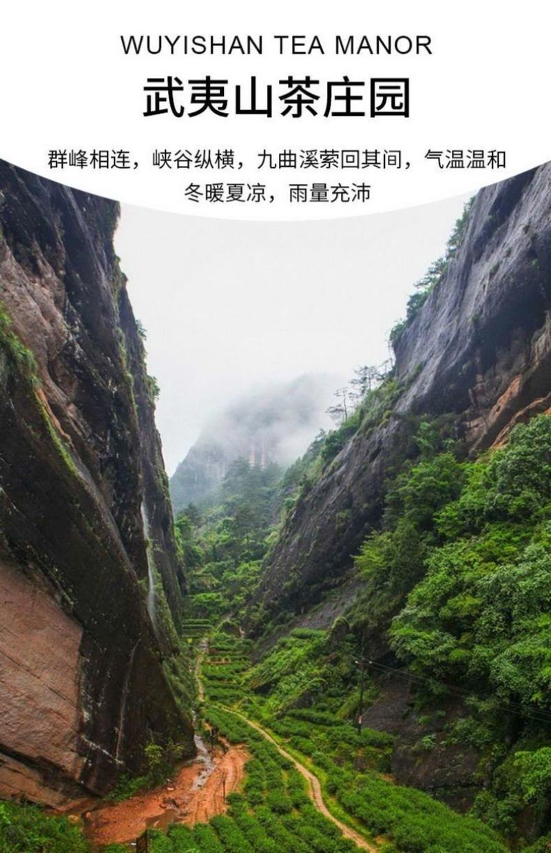 马头岩肉桂武夷岩茶碳焙乌龙一斤装60泡清香型