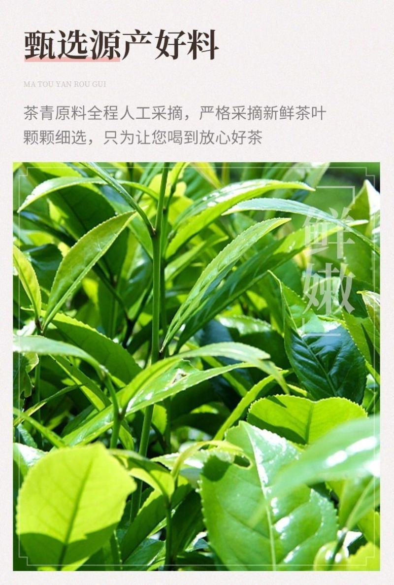 马头岩肉桂武夷岩茶碳焙乌龙一斤装60泡清香型
