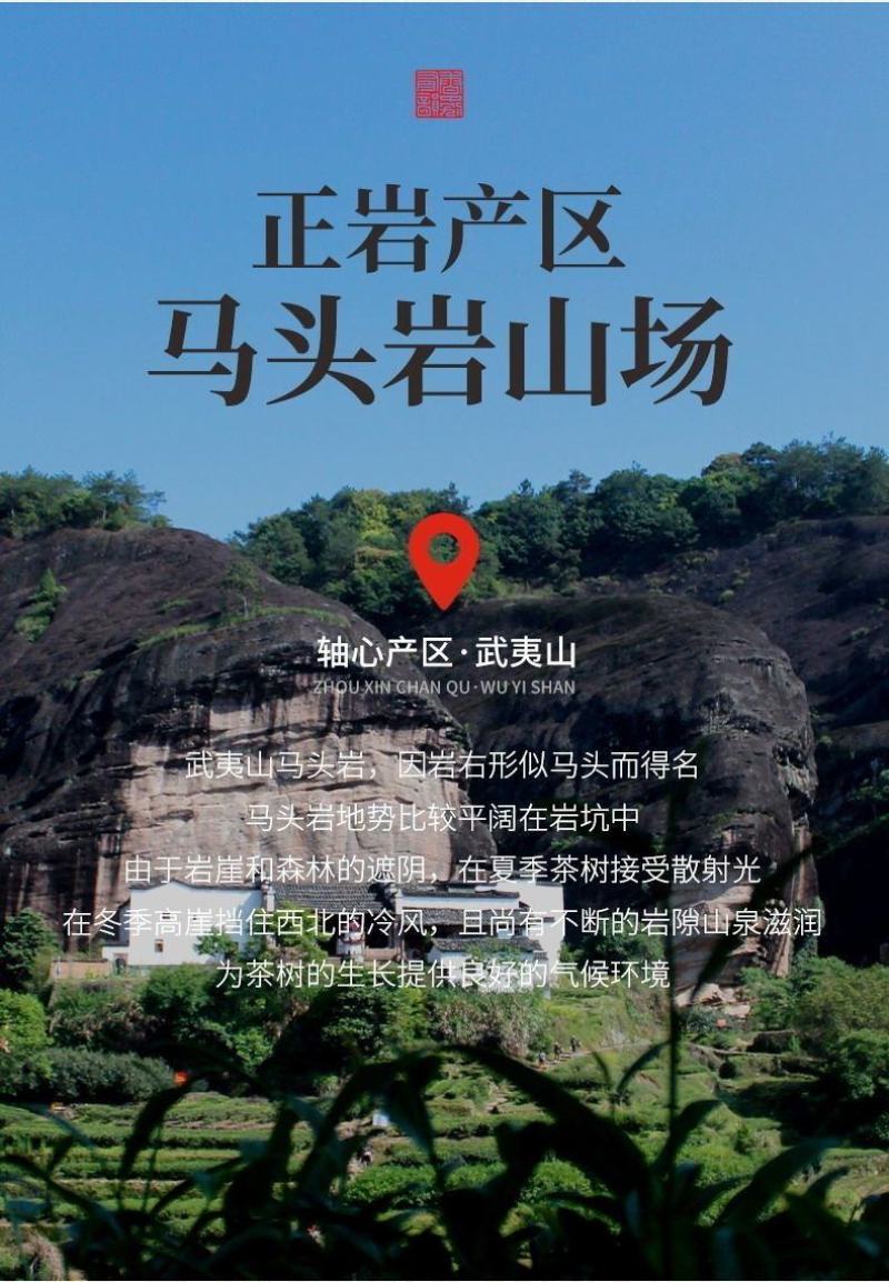 马头岩肉桂武夷岩茶碳焙乌龙一斤装60泡清香型