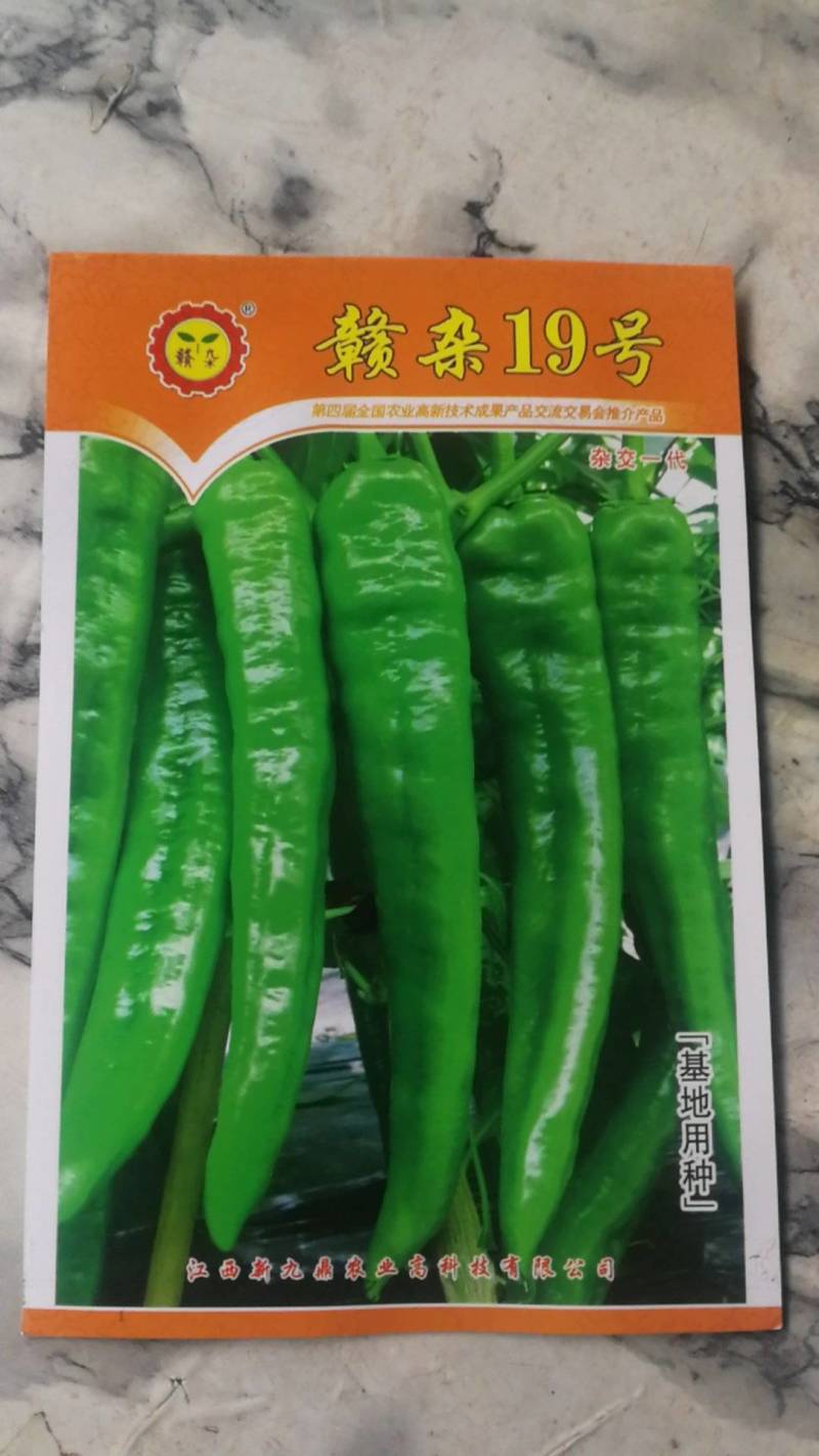 杂交一代辣椒籽