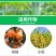 德国巴斯夫乾运噻唑锌悬浮剂溃疡病细菌性角斑病进口农药杀菌