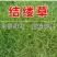结缕草草坪种子中华结缕草日本结缕草四季常青矮生耐践踏