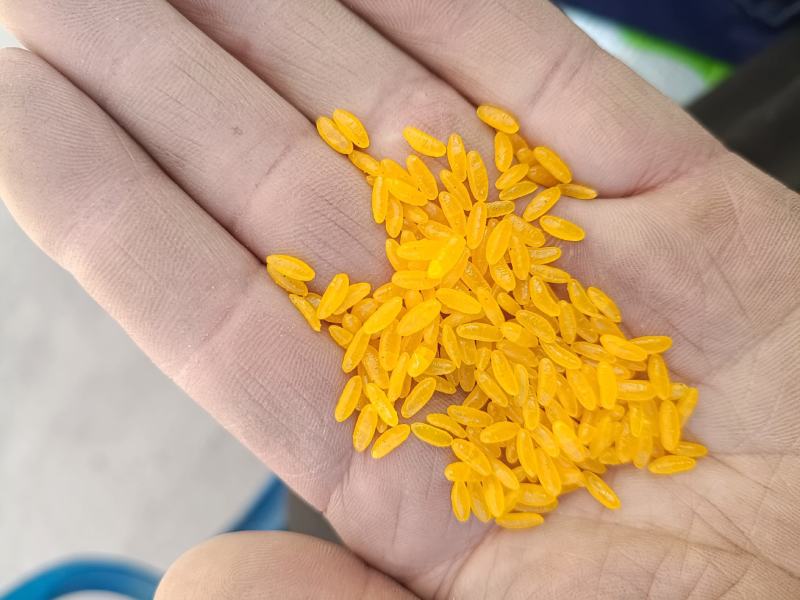 黄金米！玉米黄金米！五谷杂粮专营！