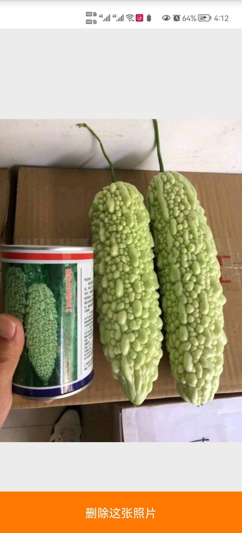 白珍珠苦瓜珍美白玉苦瓜种子抗病高产外观漂亮