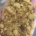 玉米油饼下脚料，营养价值高，欢迎新老客户选购
