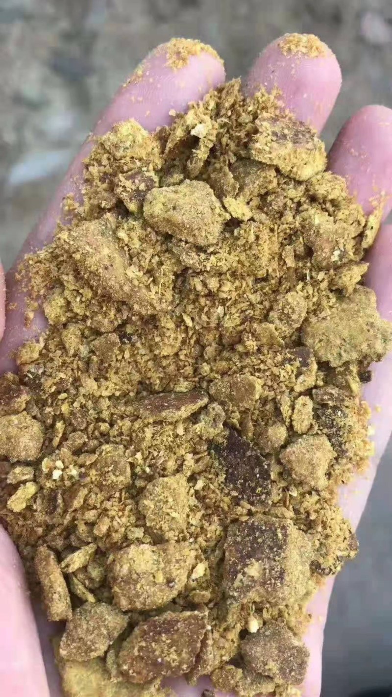 玉米油饼下脚料，营养价值高，欢迎新老客户选购