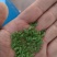 竹香米是一种绿色的米类食材，所有商品不包邮！物流发货！