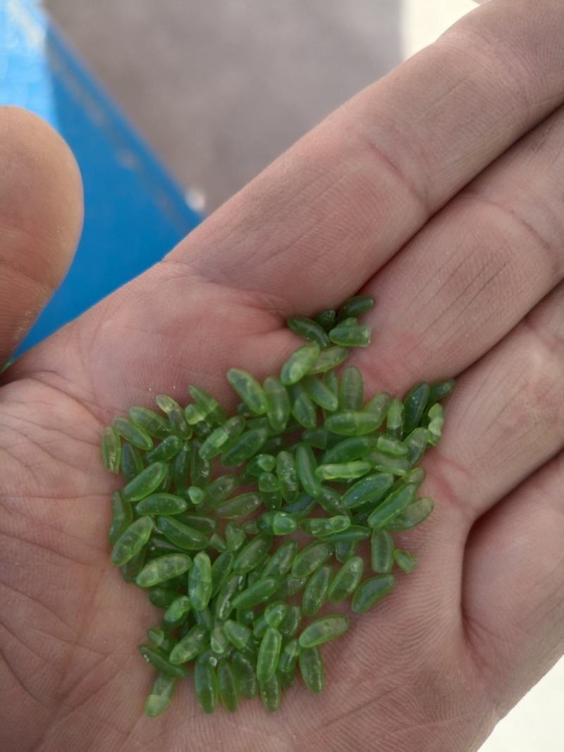 竹香米是一种绿色的米类食材，所有商品不包邮！物流发货！
