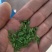 竹香米是一种绿色的米类食材，所有商品不包邮！物流发货！