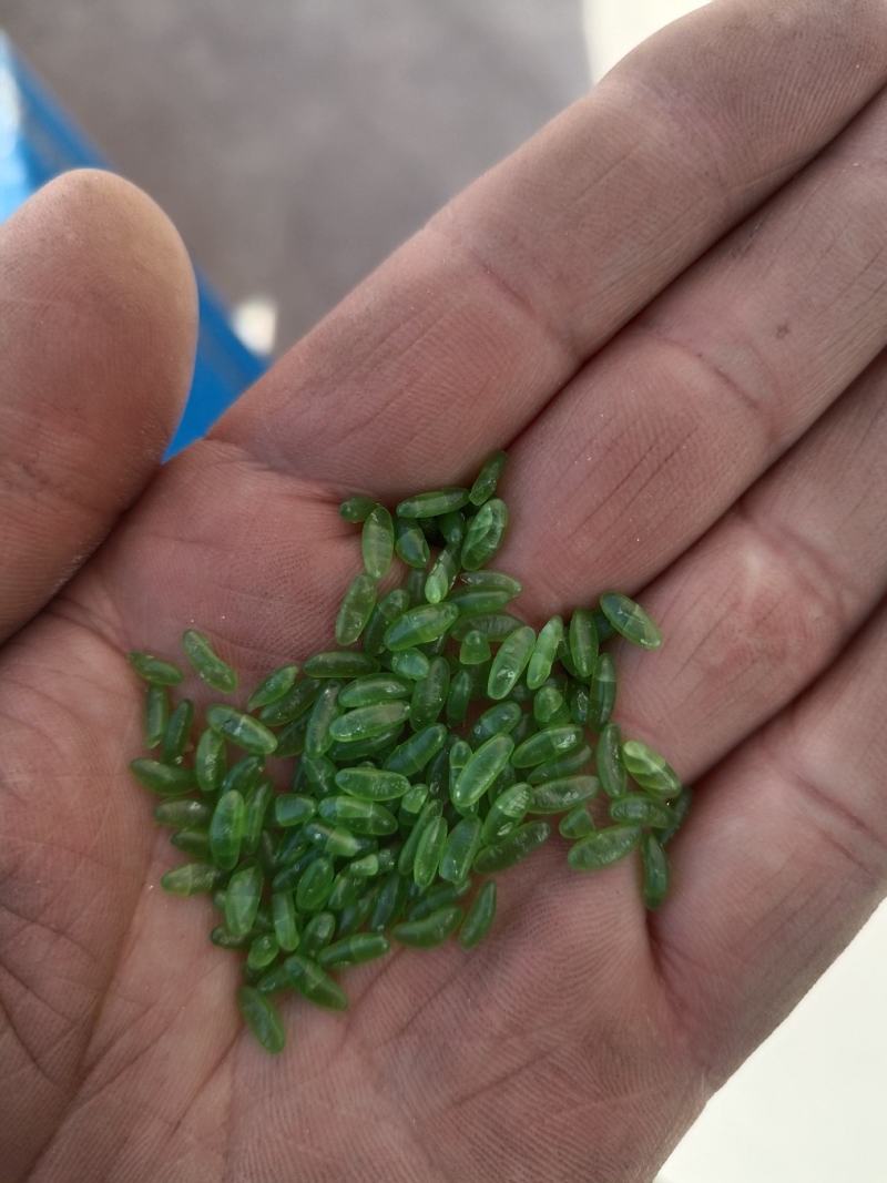 竹香米是一种绿色的米类食材，所有商品不包邮！物流发货！