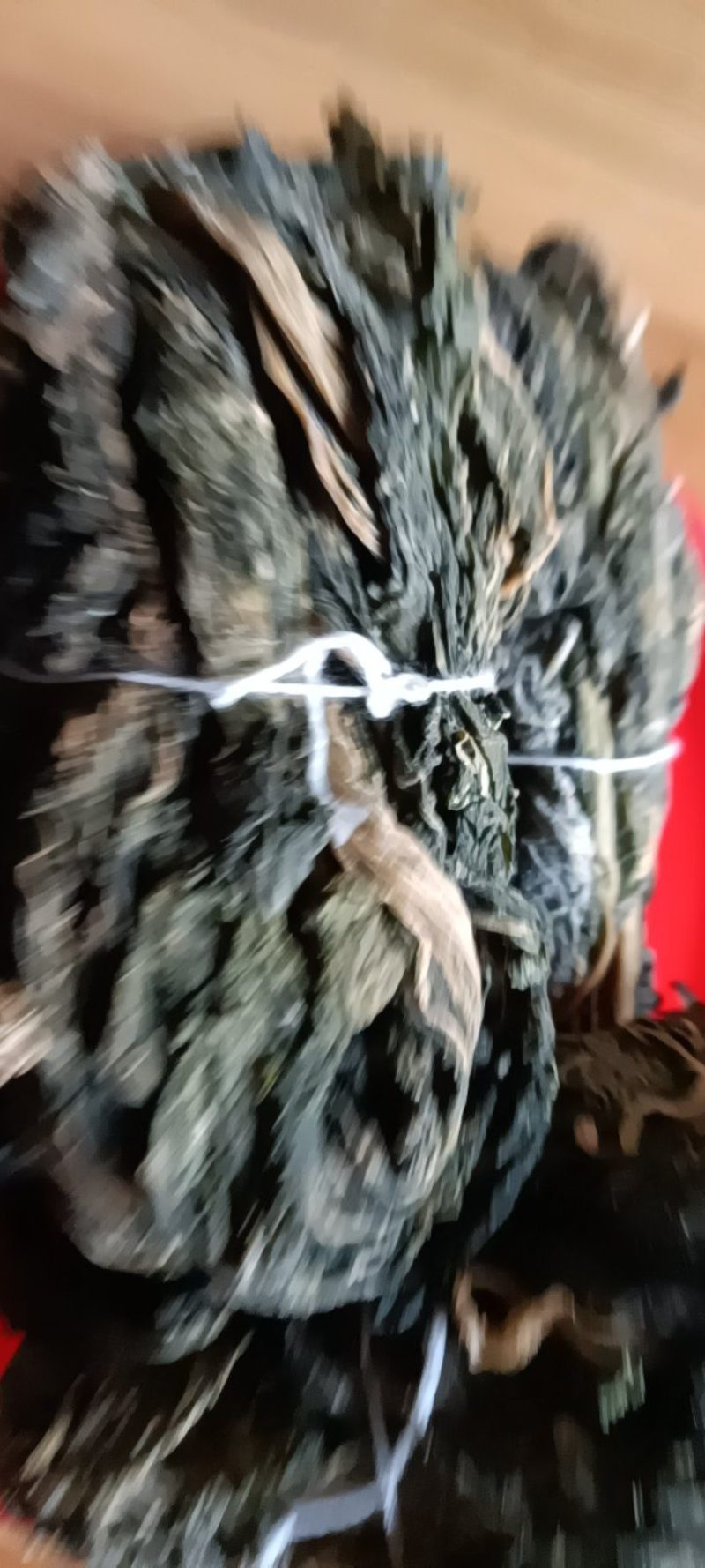 农家自种的新鲜海带，质量好，1斤一件包邮。